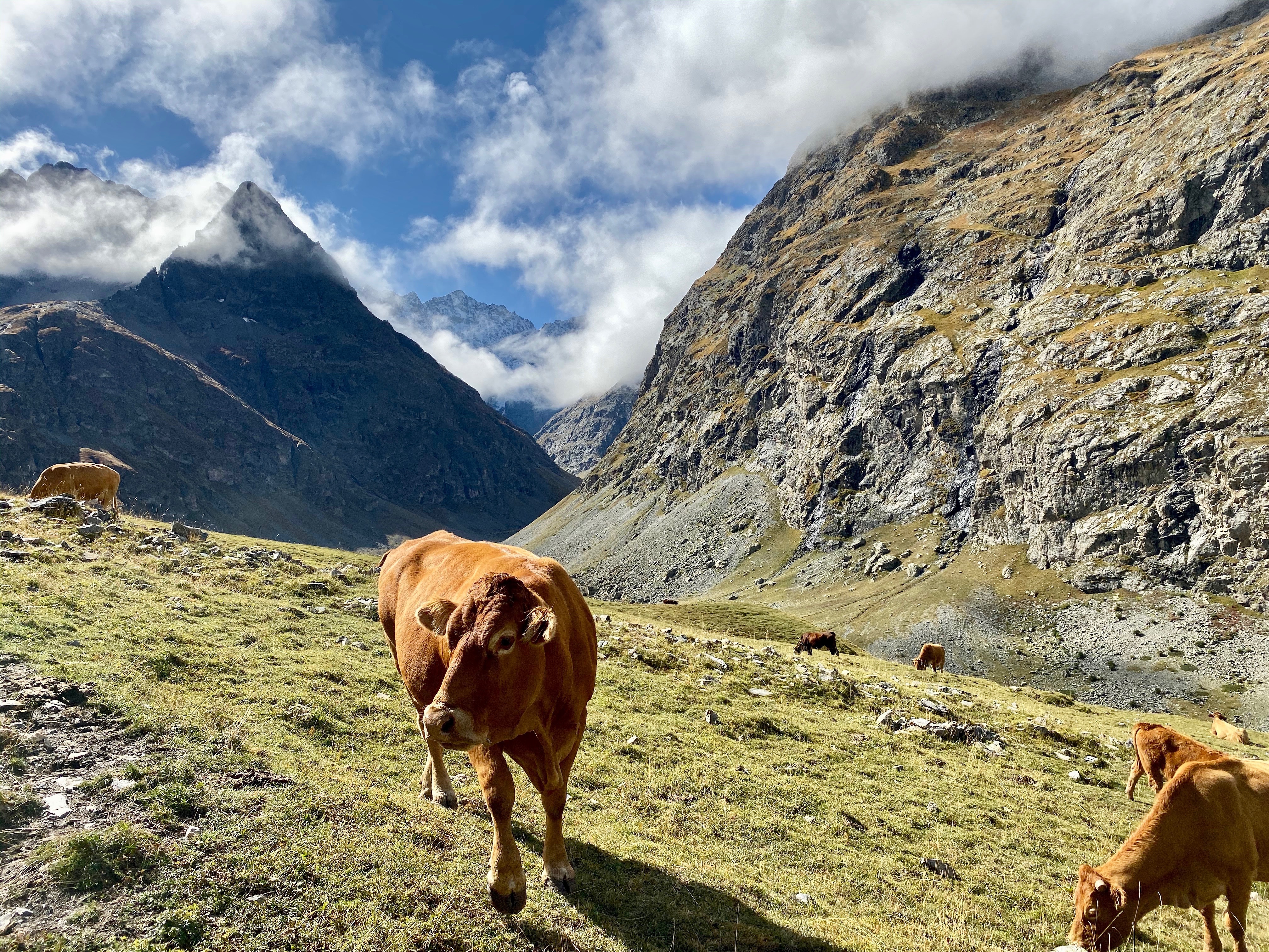 Leistung und Wohlbefinden